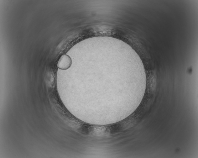 X0000115600709200912221146