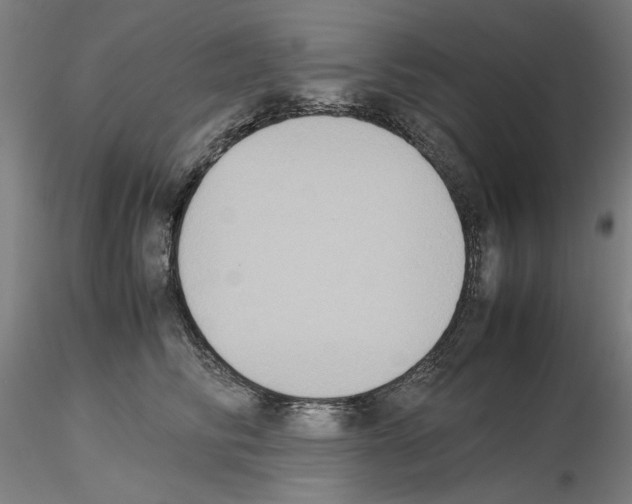 X0000115600710200912221146