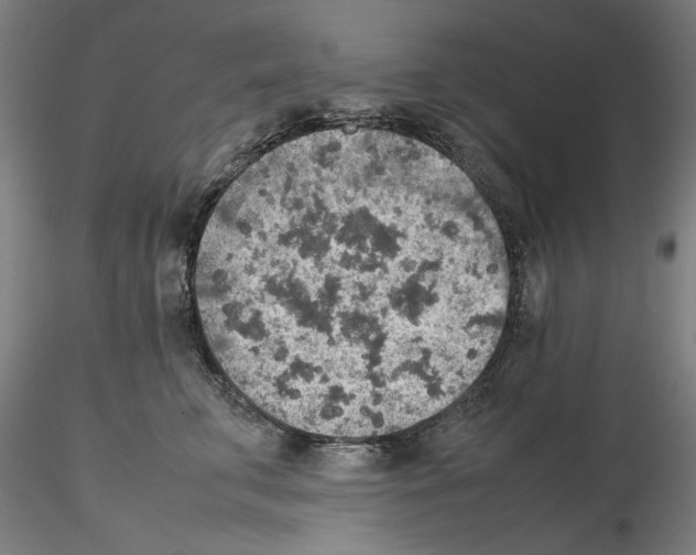 X0000115600711200912221146