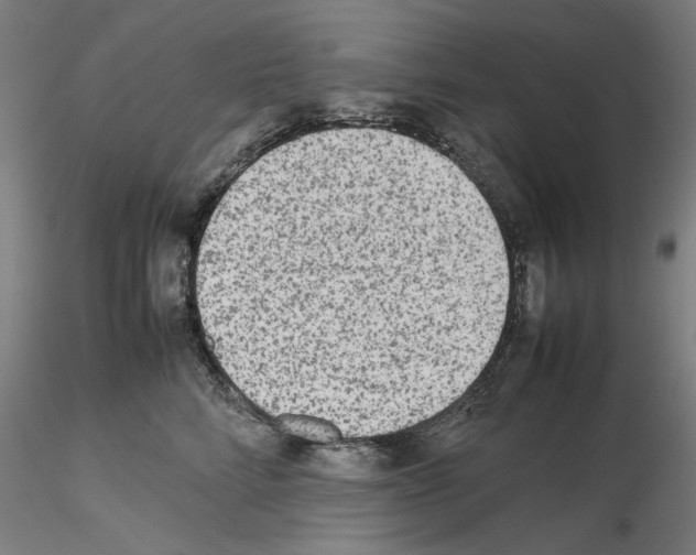 X0000115600712200912221146