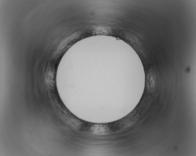 X0000115600714200912221146