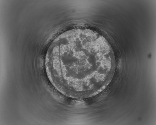 X0000115600715200912221146