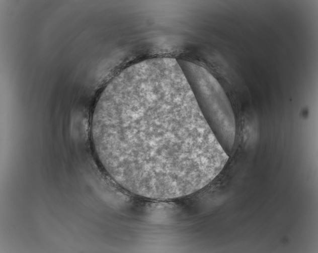 X0000115600716200912221146