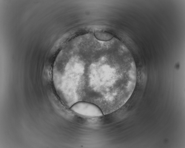 X0000115600718200912221146