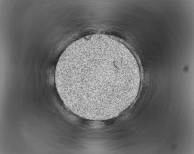 X0000115600719200912221146