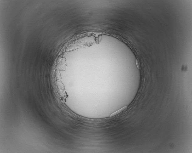 X0000115600720200912221146