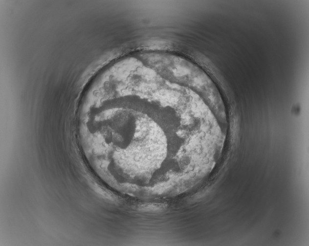 X0000115600721200912221145