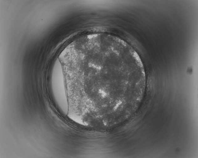 X0000115600722200912221145