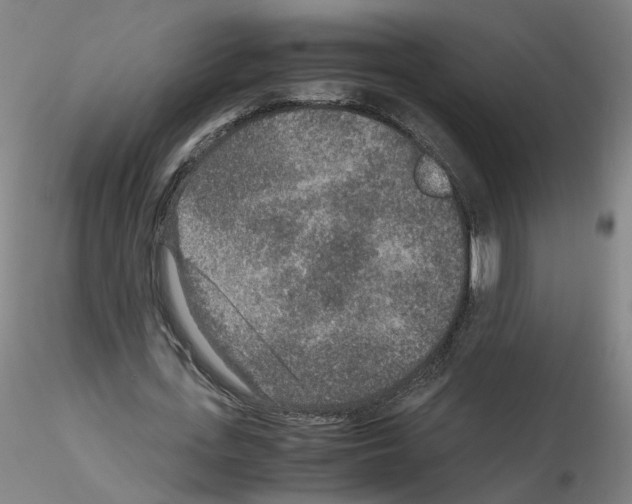 X0000115600723200912221145