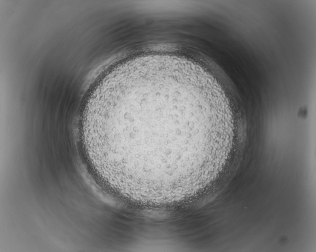 X0000115600725200912221145