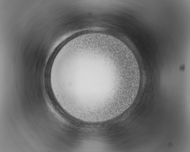 X0000115600726200912221145