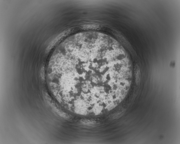 X0000115600729200912221145