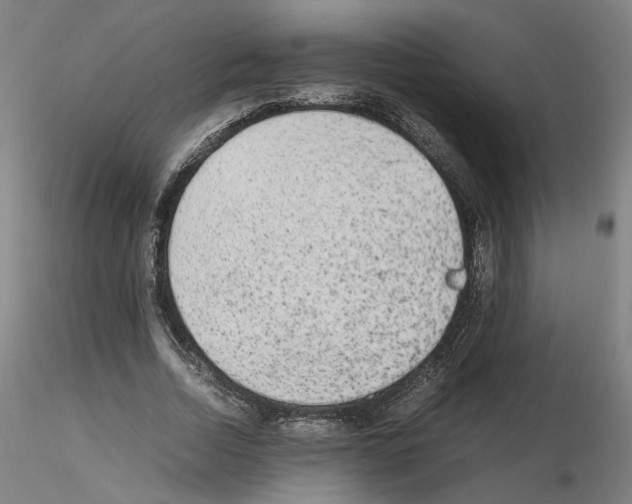 X0000115600730200912221145