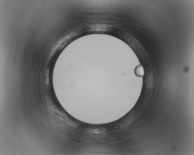 X0000115600731200912221145