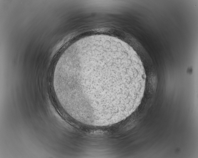 X0000115600734200912221146