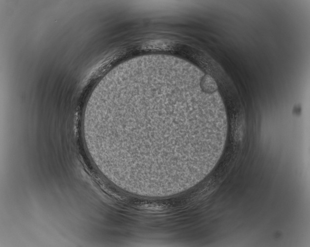 X0000115600735200912221146