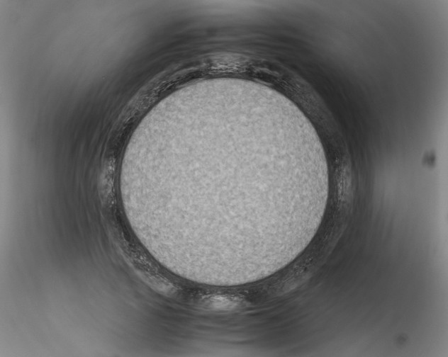 X0000115600737200912221146