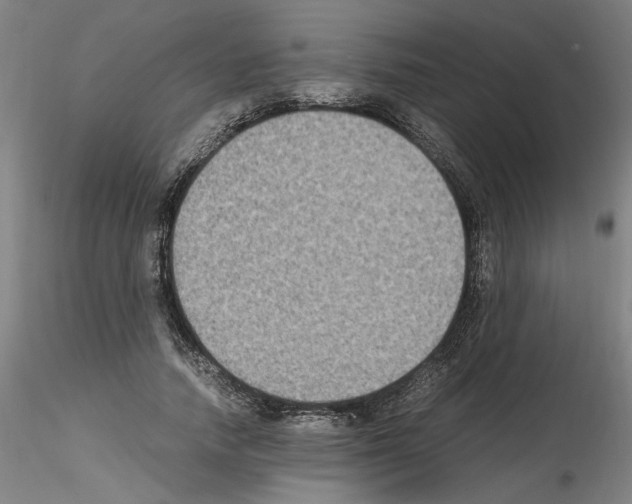 X0000115600738200912221146