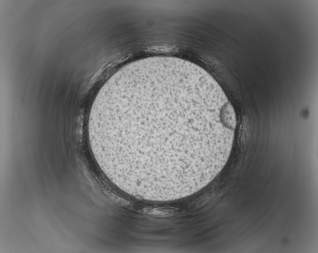 X0000115600739200912221146