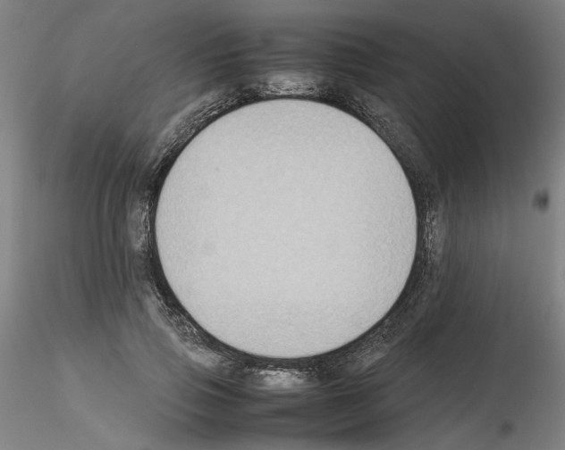 X0000115600741200912221146