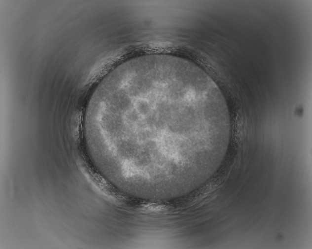 X0000115600742200912221146