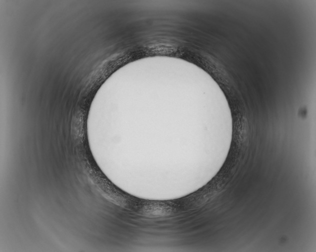 X0000115600745200912221146