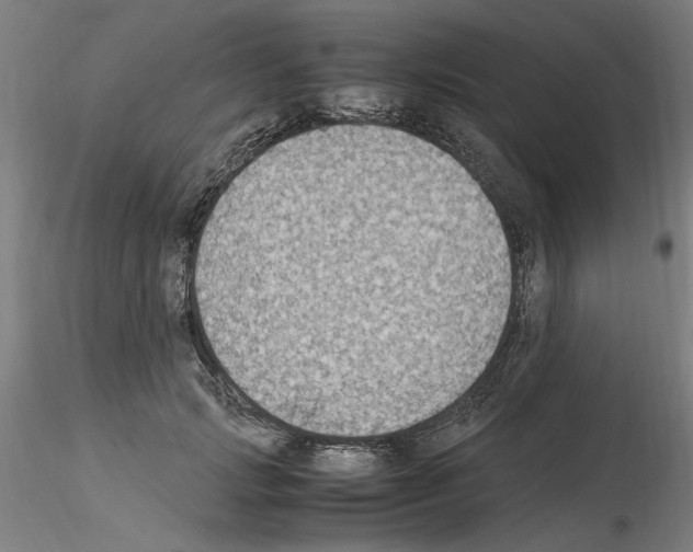 X0000115600749200912221146