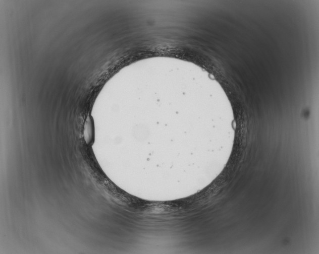 X0000115600750200912221146