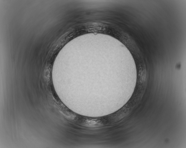 X0000115600753200912221146