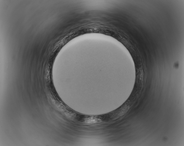 X0000115600754200912221146