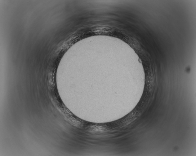 X0000115600755200912221146