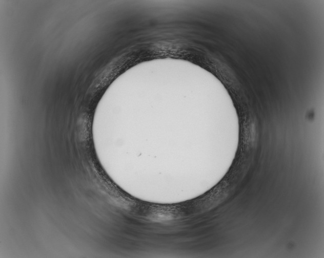 X0000115600757200912221146