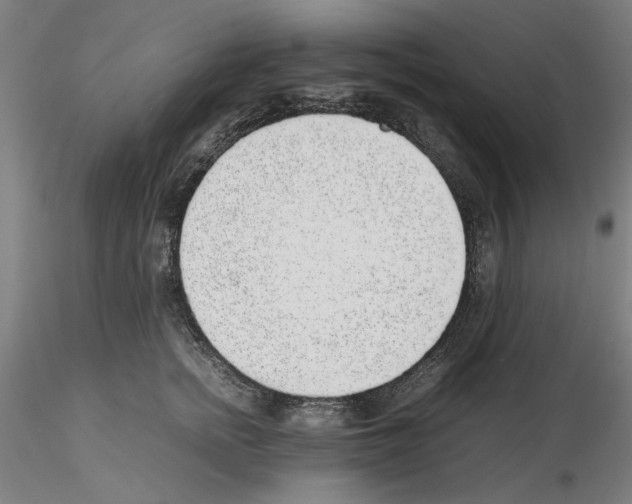 X0000115600758200912221146