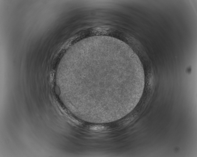 X0000115600759200912221146