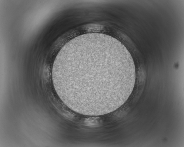 X0000115600761200912221146