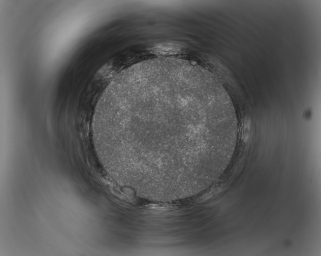 X0000115600763200912221146