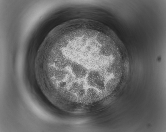 X0000115600765200912221146