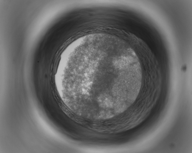 X0000115600766200912221146