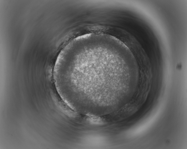 X0000115600767200912221146