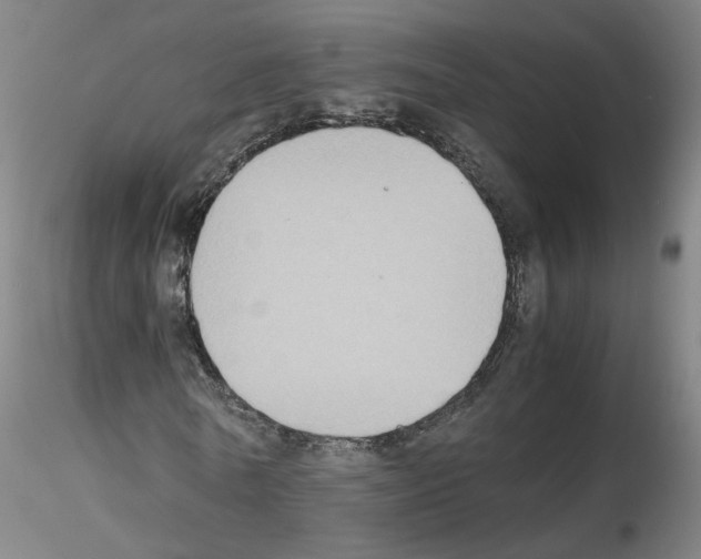 X0000115600770200912221145