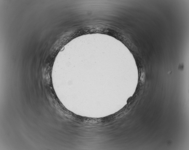 X0000115600771200912221145