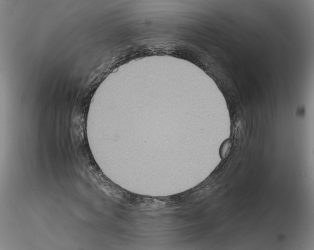 X0000115600772200912221145