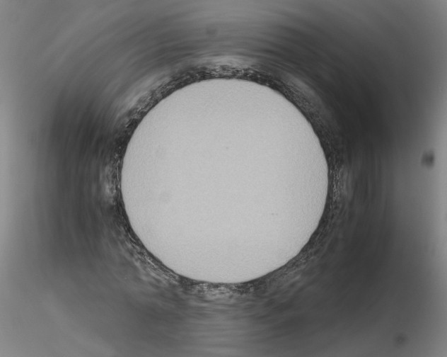 X0000115600774200912221145