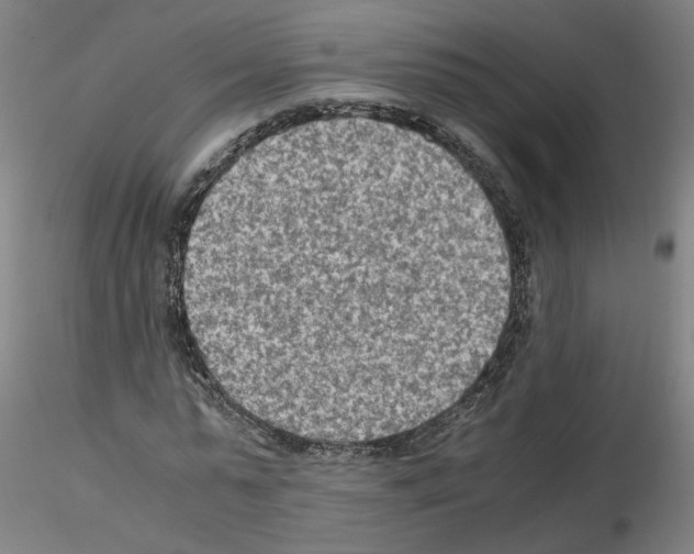 X0000115600775200912221145