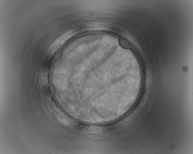 X0000115600777200912221145