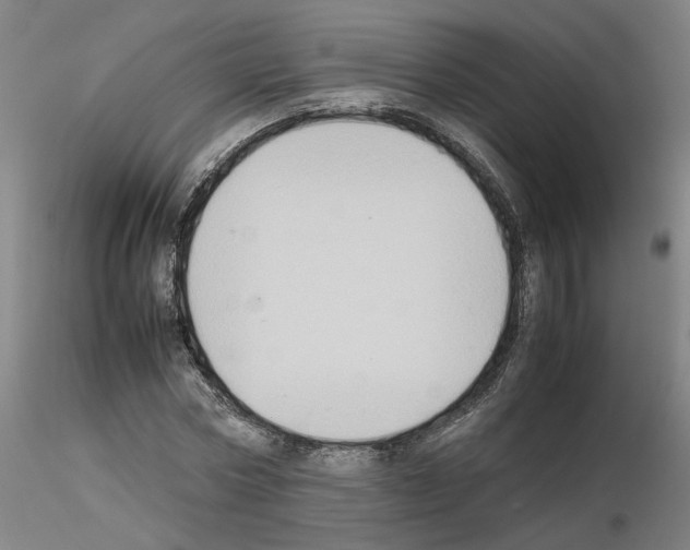 X0000115600778200912221145