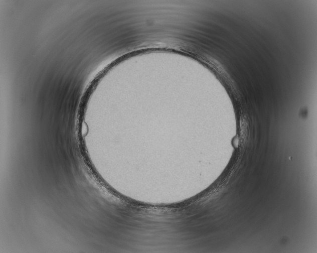 X0000115600780200912221145