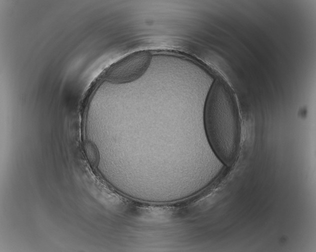 X0000115600781200912221145