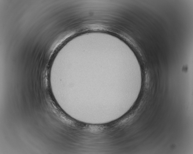 X0000115600782200912221145