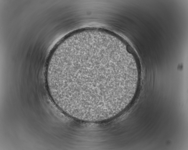 X0000115600783200912221145